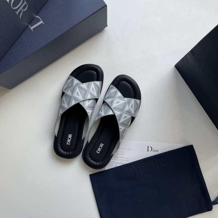 D1R* SLIDE copshoe  DR-SLIDE 006