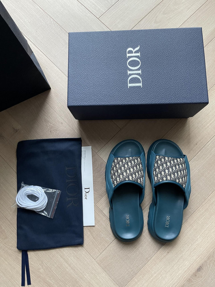 D1R* SLIDE copshoe  DR-SLIDE 007
