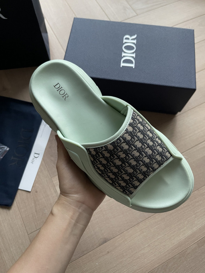 D1R* SLIDE copshoe  DR-SLIDE 008