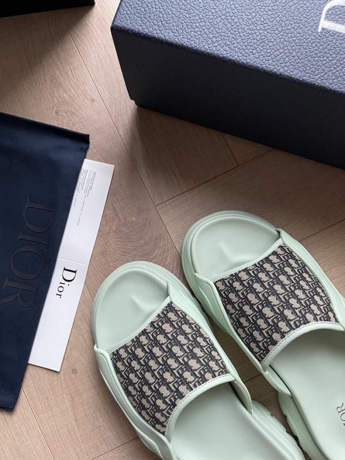 D1R* SLIDE copshoe  DR-SLIDE 008