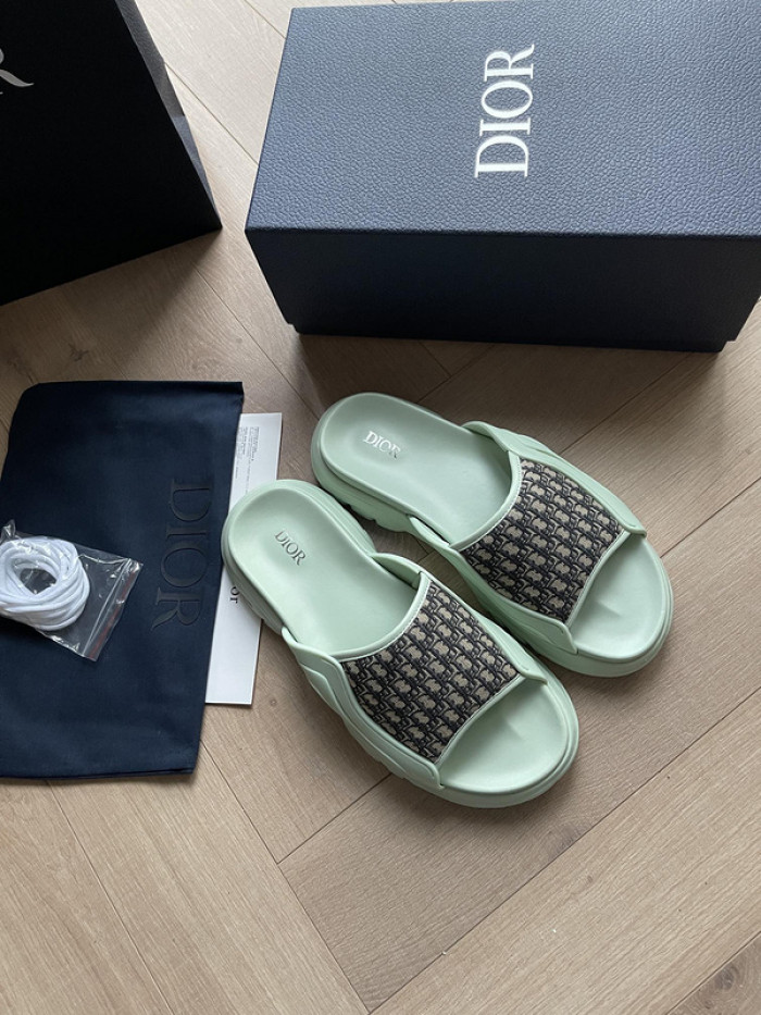 D1R* SLIDE copshoe  DR-SLIDE 008
