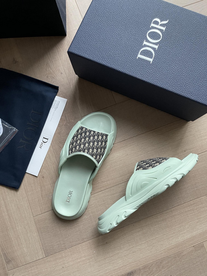 D1R* SLIDE copshoe  DR-SLIDE 008