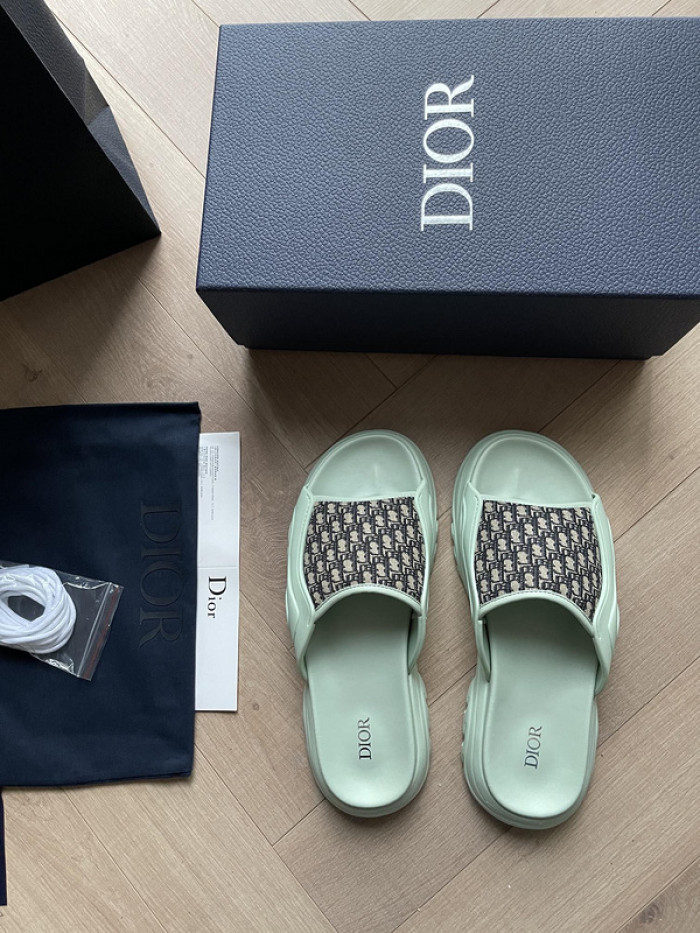 D1R* SLIDE copshoe  DR-SLIDE 008