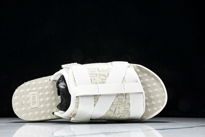 D1R* SLIDE copshoe  DR-SLIDE 019