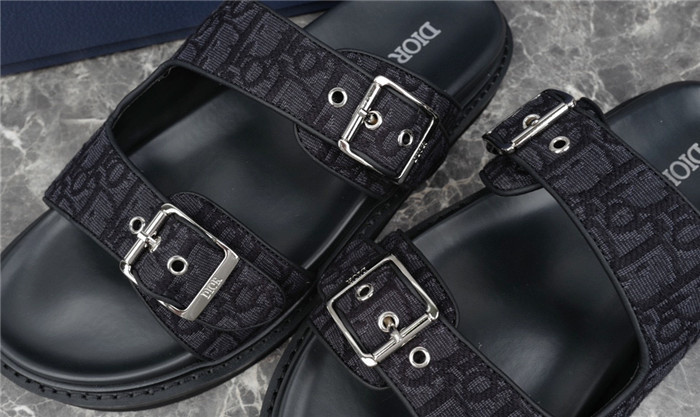 D1R* SLIDE copshoe  DR-220