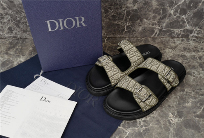 D1R* SLIDE copshoe  DR-241