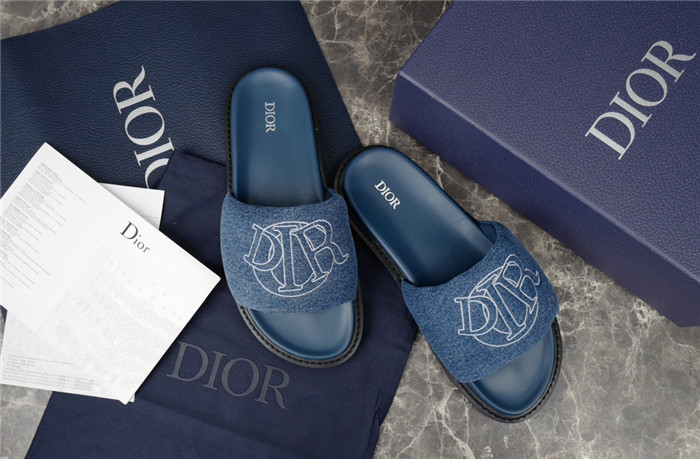 D1R* SLIDE copshoe  DR-242