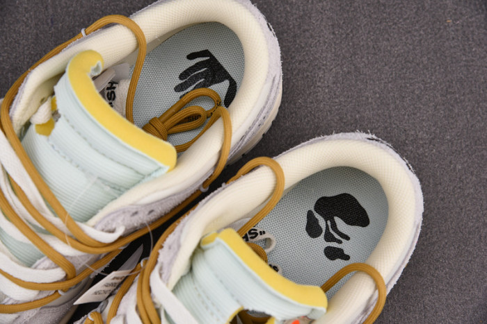 OF x Dunk Low 