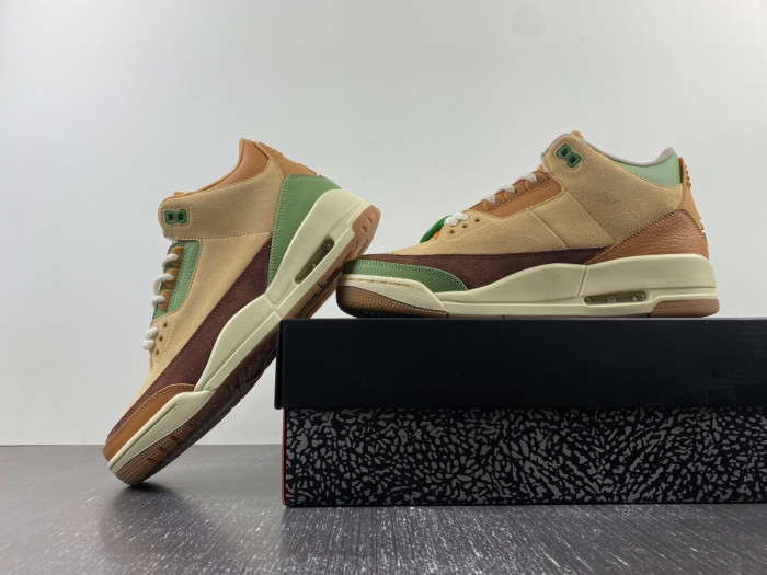 Air Jordan 3  retro CT8532-160