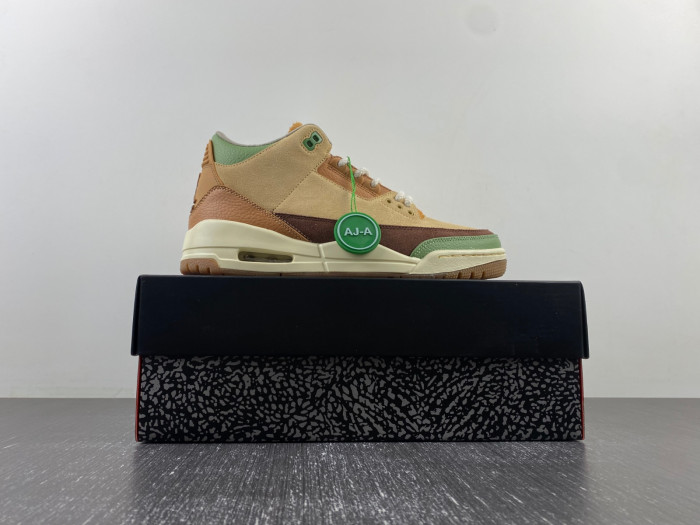 Air Jordan 3  retro CT8532-160