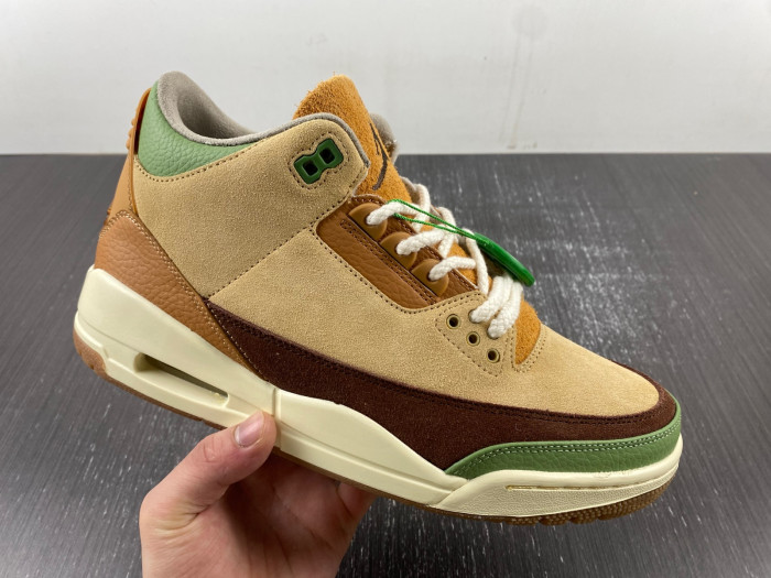 Air Jordan 3  retro CT8532-160