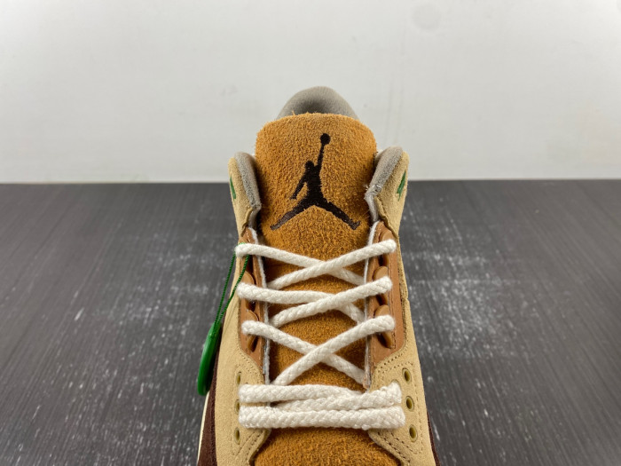 Air Jordan 3  retro CT8532-160