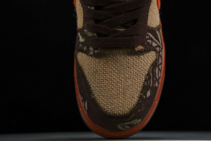 Dunk Low Pro SB 