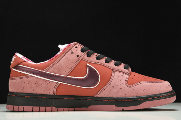 Nike SB Dunk Low Concepts Red Lobster  313170-661